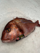 Load image into Gallery viewer, Madai, Japanese red snapper (5 lb, 1 fish)
